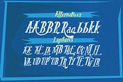 The Dolby Font, a Serif Font by LeoSupply.co (Thumbnail 3 of 5)
