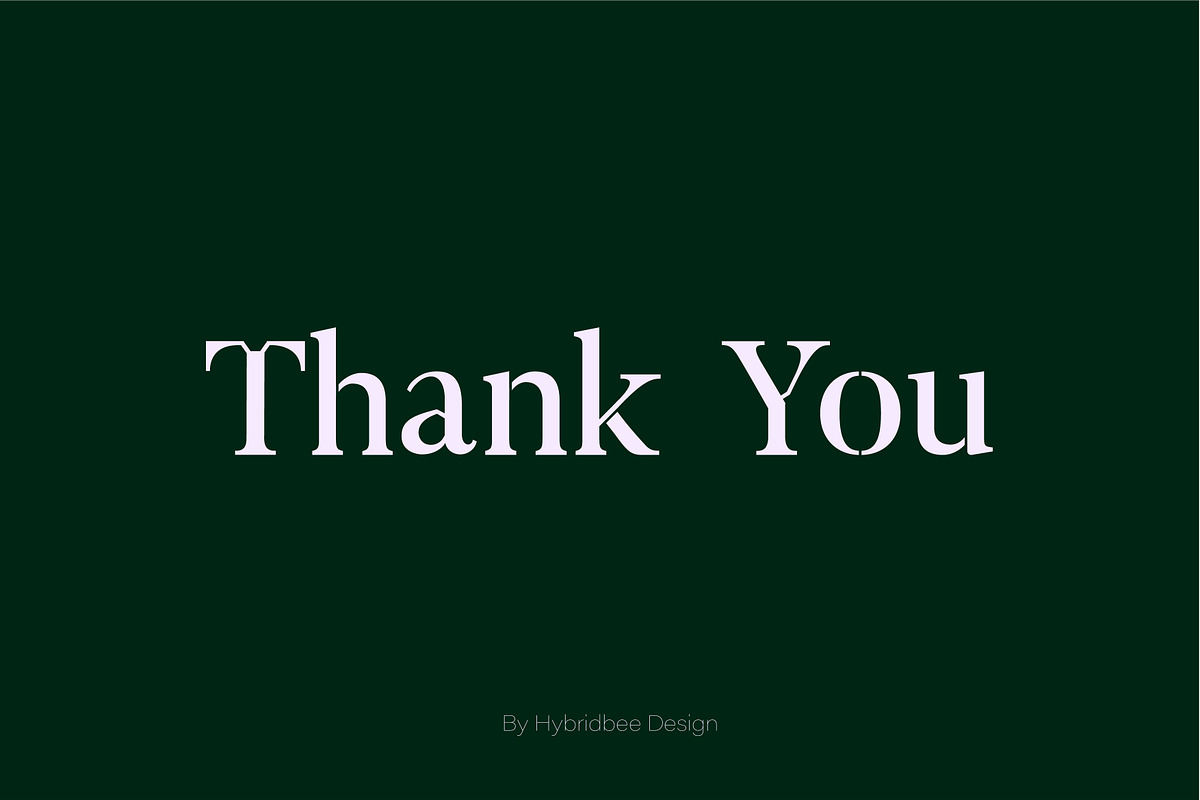 ELAYNE - Display Serif Font, a Serif Font by Hybridbee Design (Photo 10 of 10)