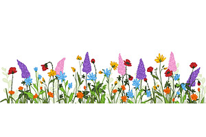 Spring wild flowers border, red, an Object Illustration by art PVP - market