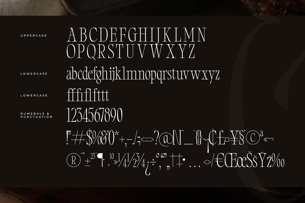 Clamofte Modern Stylish Serif, a Serif Font by Letterena Studios (Photo 13 of 15)