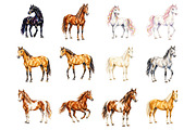 Watercolor Horse Clipart, an Animal Illustration by fashionaddict (Thumbnail 3 of 7)