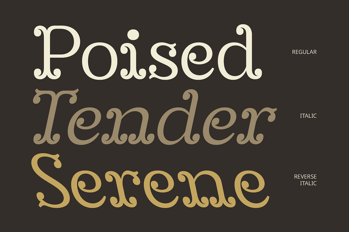 CS Monroe – Tuscan Font, a Serif Font by Craft Supply Co. (Photo 4 of 8)