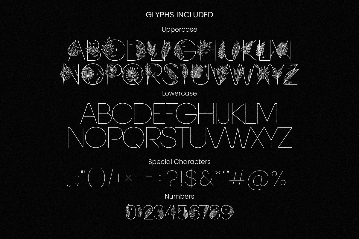Tropic Summer - Botanical Luxury Dis, a Symbol Font by AndrewPixelType (Photo 8 of 9)