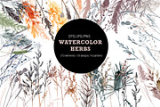Watercolor herbs collection, a Decorative Illustration by Tatiana Davidova (Thumbnail 1 of 8)