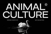 Mosvita Sans Serif Family Font, a Sans Serif Font by Yukita Creative (Thumbnail 2 of 13)