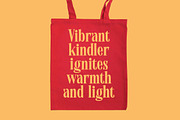 Bromtiz Elegant Vintage Serif, a Serif Font by timelesstype.co (Thumbnail 2 of 15)