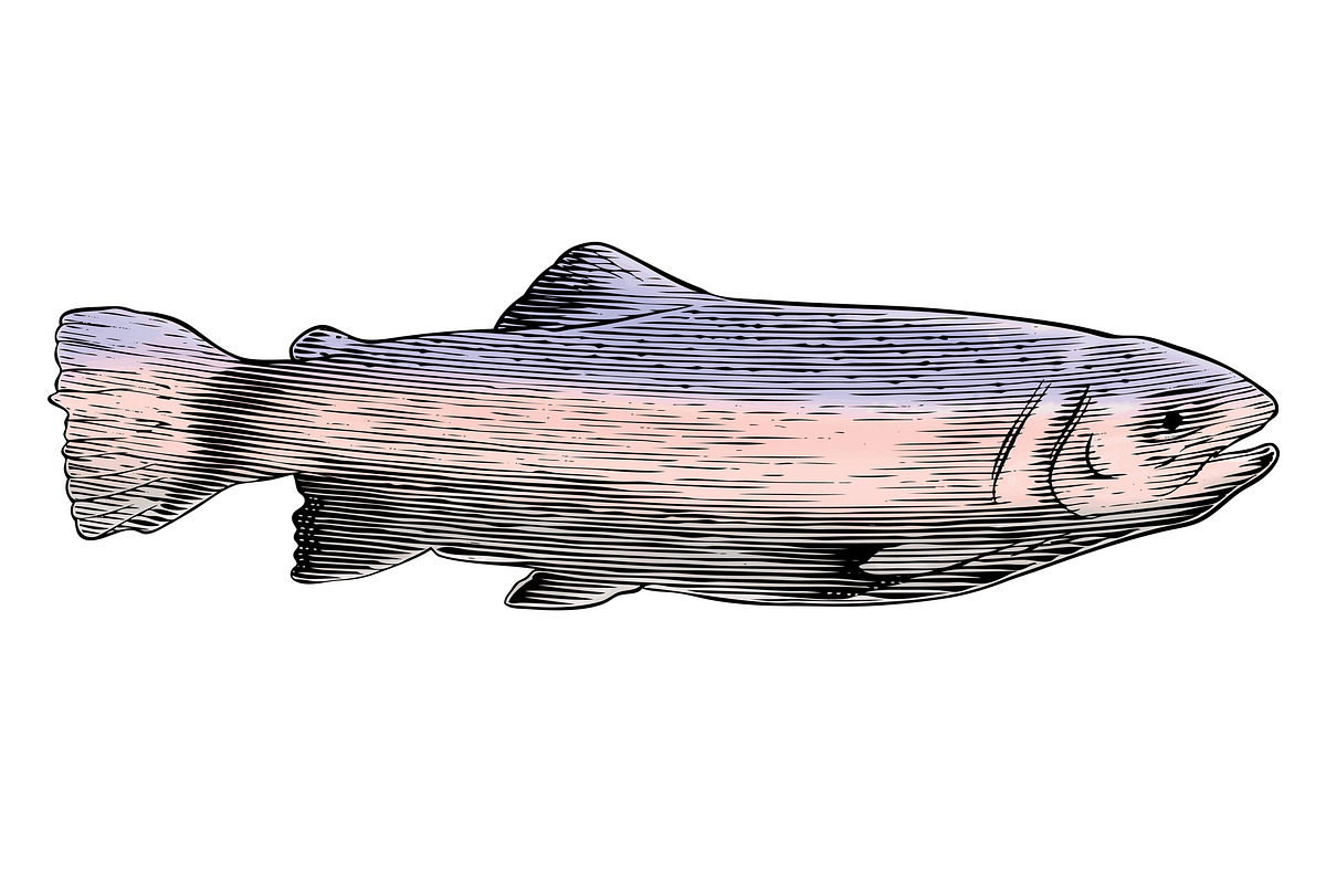 Woodcut Trout, an Animal Illustration by blue67sign (Photo 1 of 2)