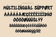 Caldavine Display, a Serif Font by Eltypesstudio (Thumbnail 4 of 10)