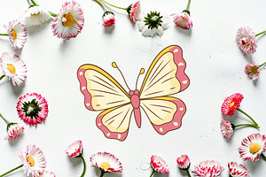 8 Cute Butterfly Insect Animal