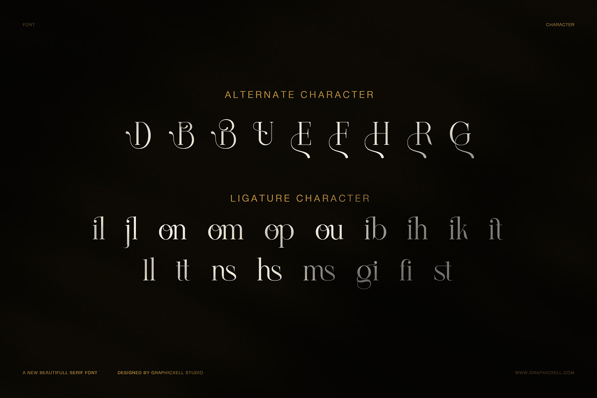Brilion Elegant Serif Font, a Serif Font by Graphicxell (Photo 8 of 8)