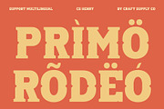 CS Modley – Western Font, a Slab Serif Font by Craft Supply Co. (Thumbnail 7 of 8)