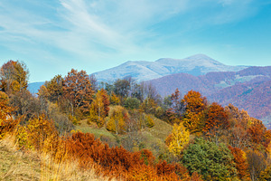 Autumn Carpathian mountain, Ukraine, a Nature Photo by YuriyB