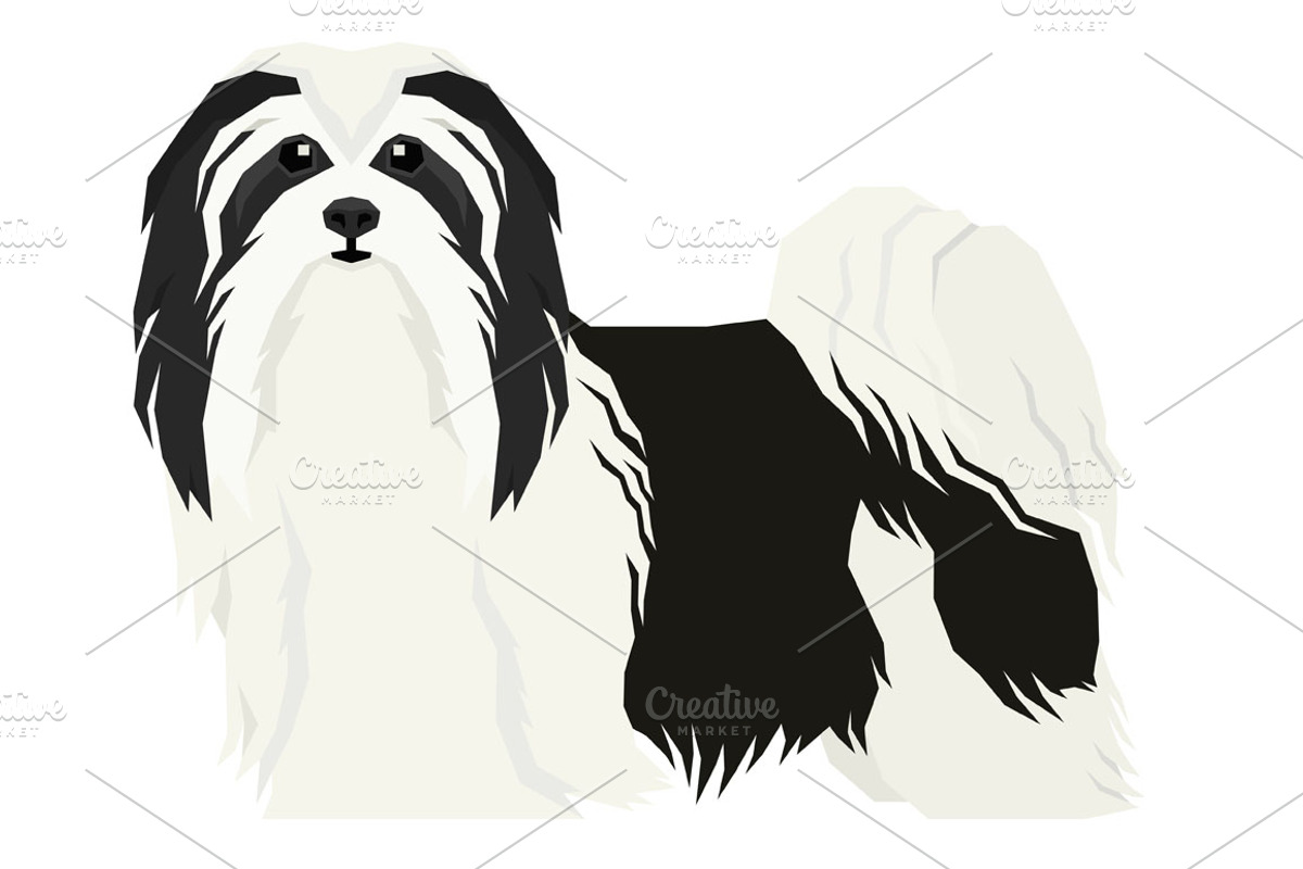 Dog breeds Havanese Dog, an Animal Illustration by Nenilkime (Photo 2 of 3)
