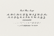Pearl Fleur – Elegant Script Font, a Script Font by gafaroff studio (Thumbnail 7 of 7)