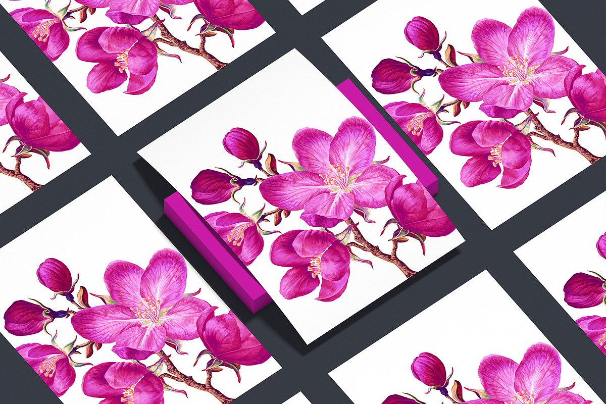 4 Apple Tree Flower Branches, an Illustration by MarynaPetrovska (Photo 12 of 14)
