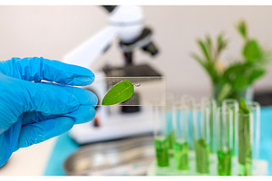 Research of plants in the laboratory, a Technology Photo by yanadjana