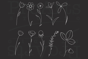 Minimal Botanical Brushes, Botanic