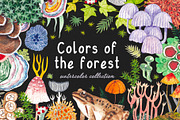 Colors of the forest, a Decorative Illustration by Kuzya's shop (Thumbnail 1 of 6)