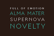 Troutbeck Sans Pixel Font (4 styles), a Sans Serif Font by SelfBuild Type (Thumbnail 4 of 8)