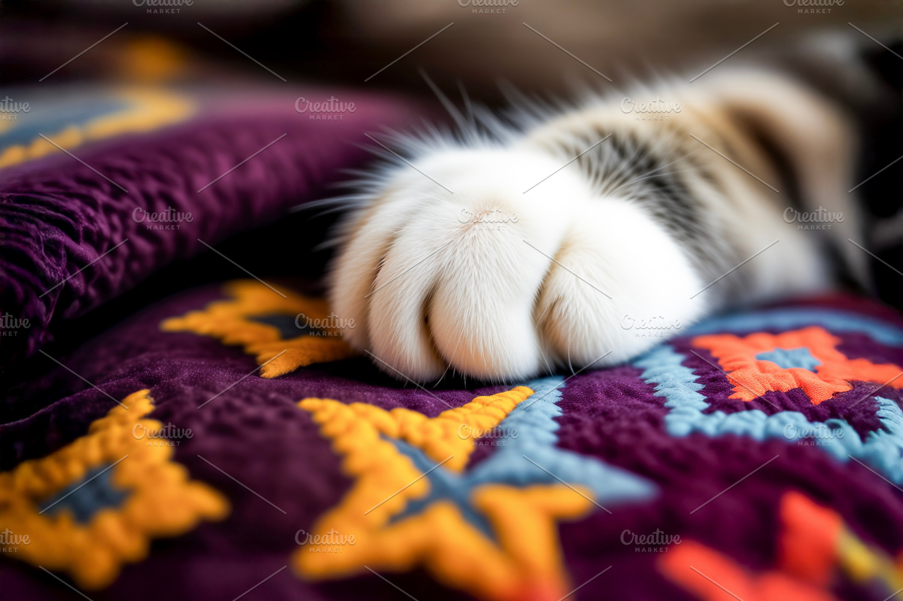 Cozy Cat Paw Resting, a Photo by rarrarorro