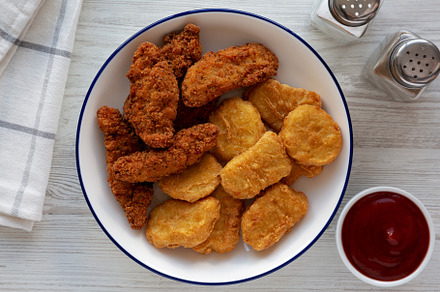 Homemade Chicken Strips and Nuggets with Ketchup, a Food & Drink Photo by LiudmylaChuhunova