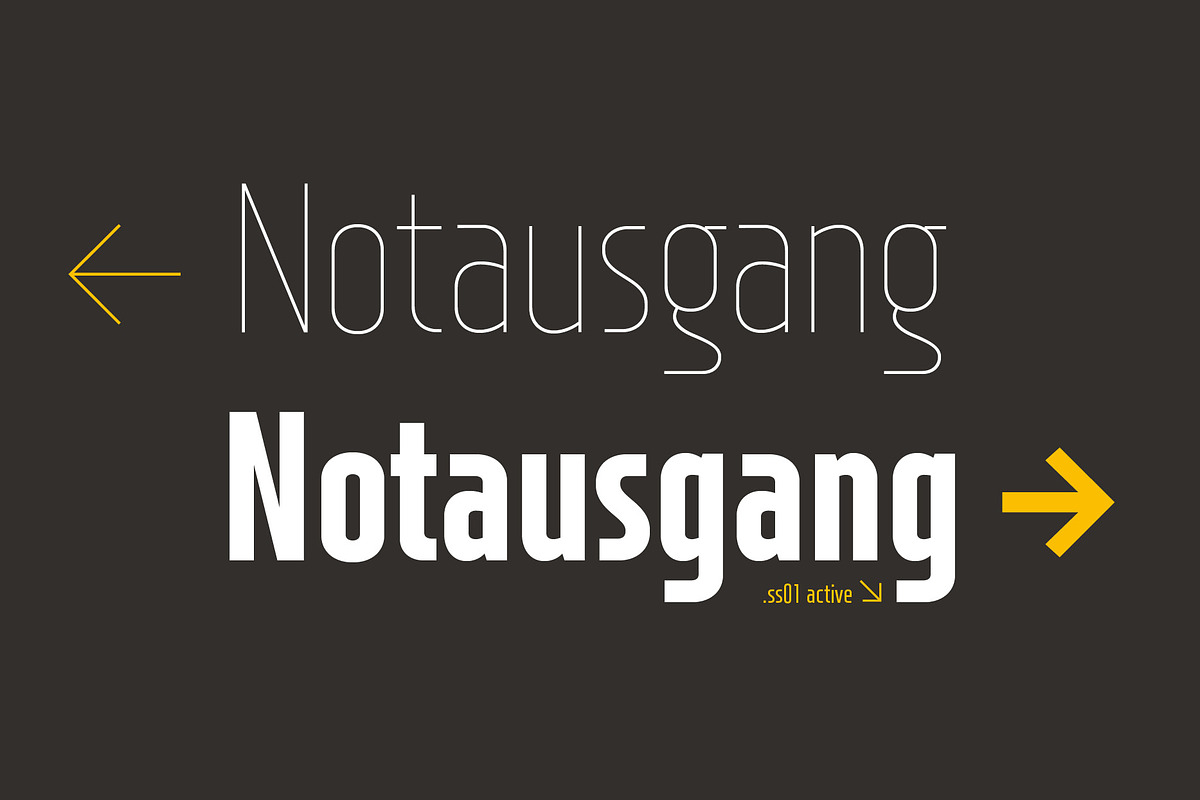XXII Neue Norm Cnd, a Sans Serif Font by Doubletwo Studios (Photo 12 of 12)