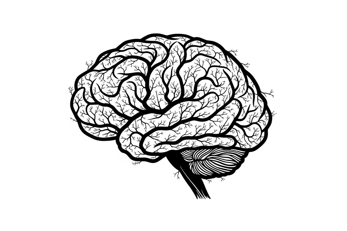 Brain Tree Knowledge Design Bundle, an Illustration by Gaye Art (Photo 13 of 31)