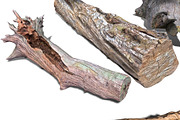 13 Tree Logs, an Environmental 3D Model by Beatheart Creative Studio (Thumbnail 32 of 37)