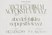 Luxury Wedding Font Bundle, a Serif Font by AndrewPixelType (Thumbnail 36 of 44)