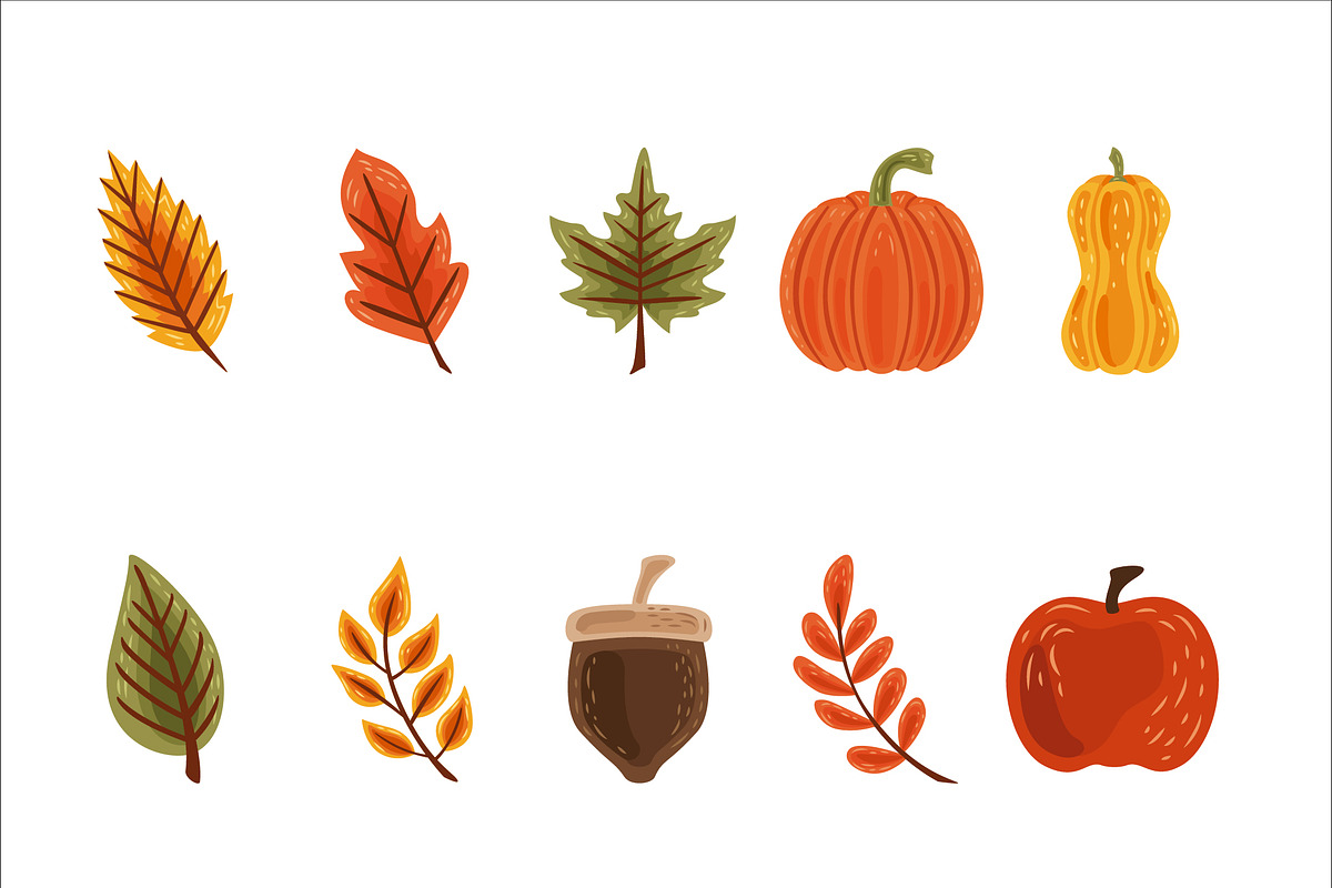Autumn Harvest Illustration Set