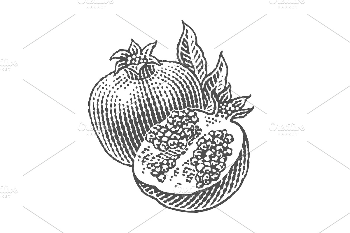 Pomegranate, a Food Illustration by Irina Trusova (Photo 2 of 3)