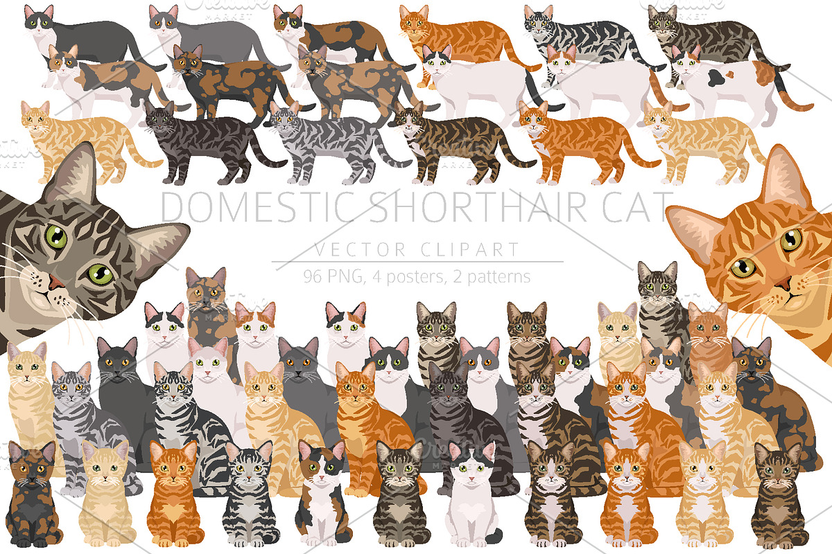 Domestic shorthair cat, an Animal Illustration by pet design shop (Photo 1 of 6)