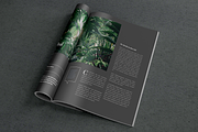 Indesign Magazine Template #6, a Magazine Template by spidergraph (Thumbnail 11 of 12)