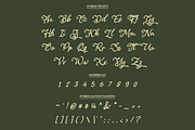 Carlessé – Handwritten Script Font, a Handwritten Font by Inviline.co (Thumbnail 2 of 8)