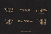 Ambigue Wild Modern x Vintage Serif, a Serif Font by Wandery Supply (Thumbnail 20 of 22)