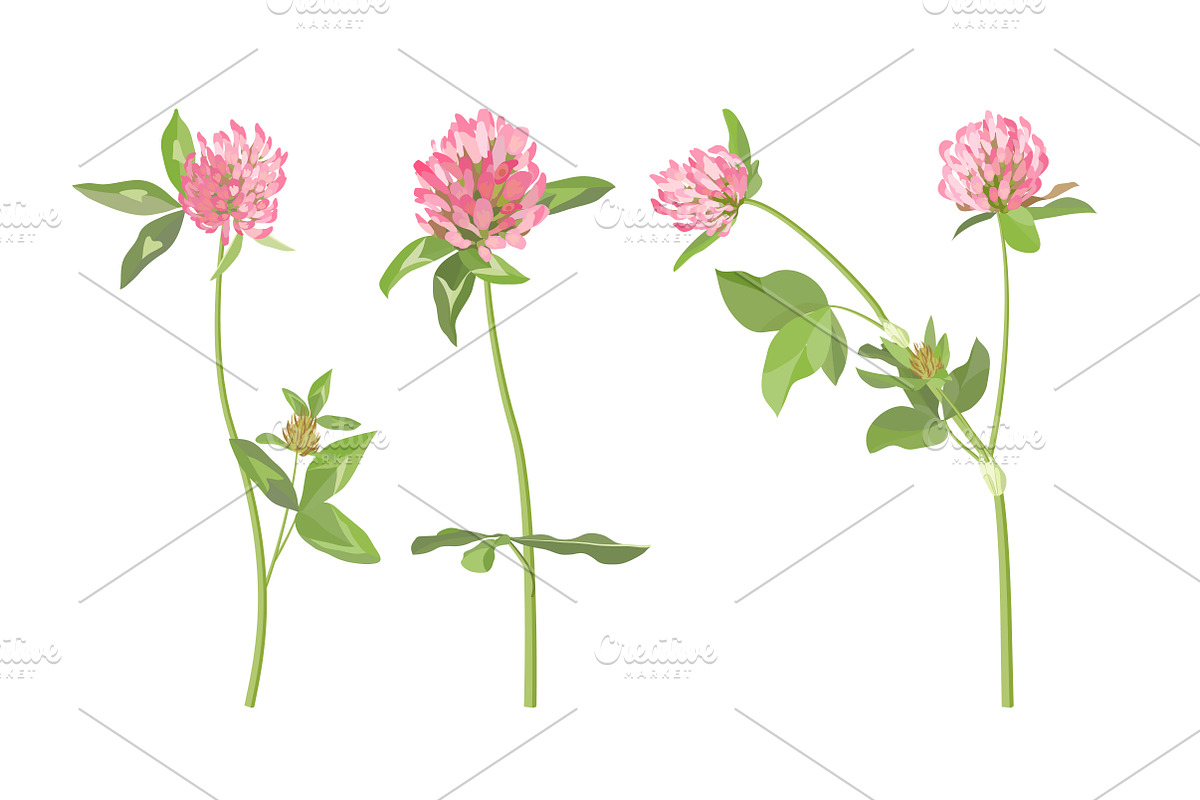Vector object brushes. Clover preview 7