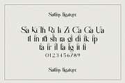 Sattins Ligature Serif Typeface, a Serif Font by Humaira_std (Thumbnail 8 of 13)