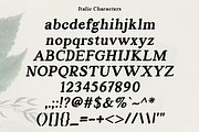 Absture | Vintage Serif Font, a Serif Font by Rotterlab Studio (Thumbnail 12 of 12)
