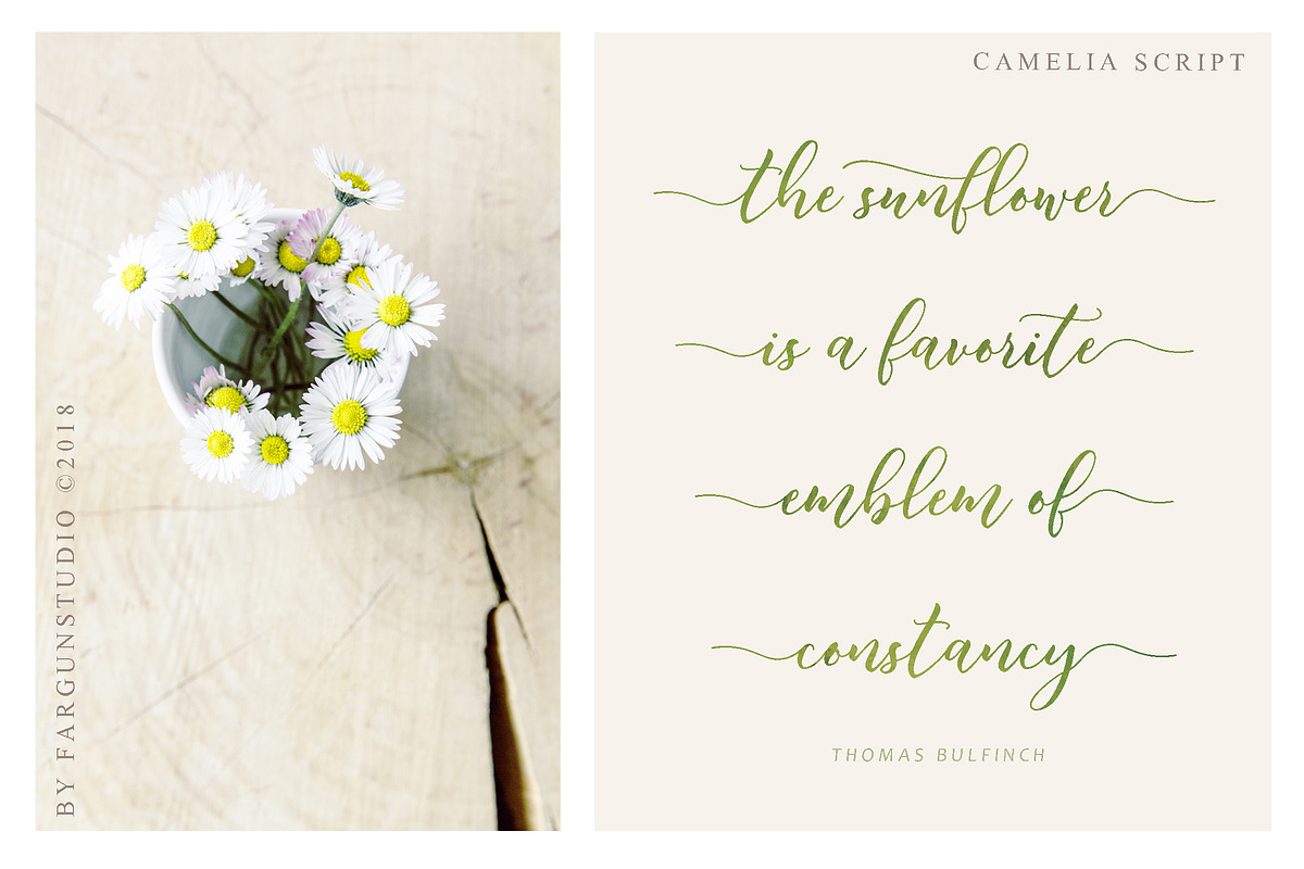 Camelia Script preview 6