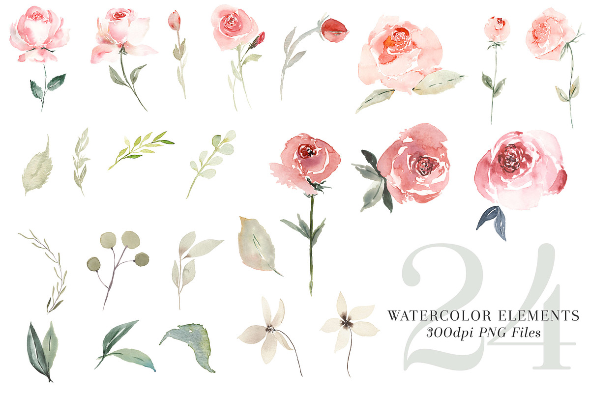 RoSA - Floral Clipart, an Illustration by The Autumn Rabbit Ltd (Photo 5 of 14)