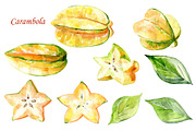 Watercolor tropical fruits., an Illustration by TaPilipa (Thumbnail 8 of 39)
