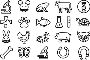 Exploring the diversity of life with, an Animal Illustration by ZinetroN