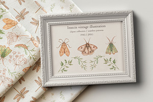 Insect Vintage illustrations