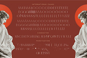 Qasnors Modern Display Serif, a Serif Font by timelesstype.co (Thumbnail 18 of 20)