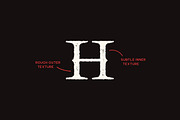 Anemoia Typeface, a Serif Font by Tugcu Design Co. (Thumbnail 4 of 4)