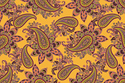 Paisley seamless fabric patterns, a Pattern Graphic by antalogiya (Thumbnail 6 of 6)