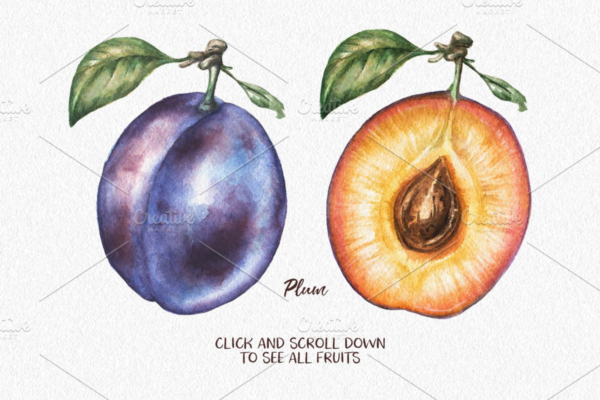 Watercolor Fruit Coctail, a Food Illustration by Chelovector (Photo 2 of 5)