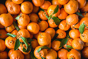 The Foodie Lightroom Presets, an Action Add-On by I & M Lightroom Presets (Thumbnail 2 of 8)