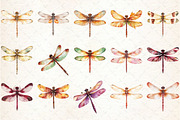 Autumn Dragonfly Clipart, an Illustration by Rose Art (Thumbnail 2 of 7)
