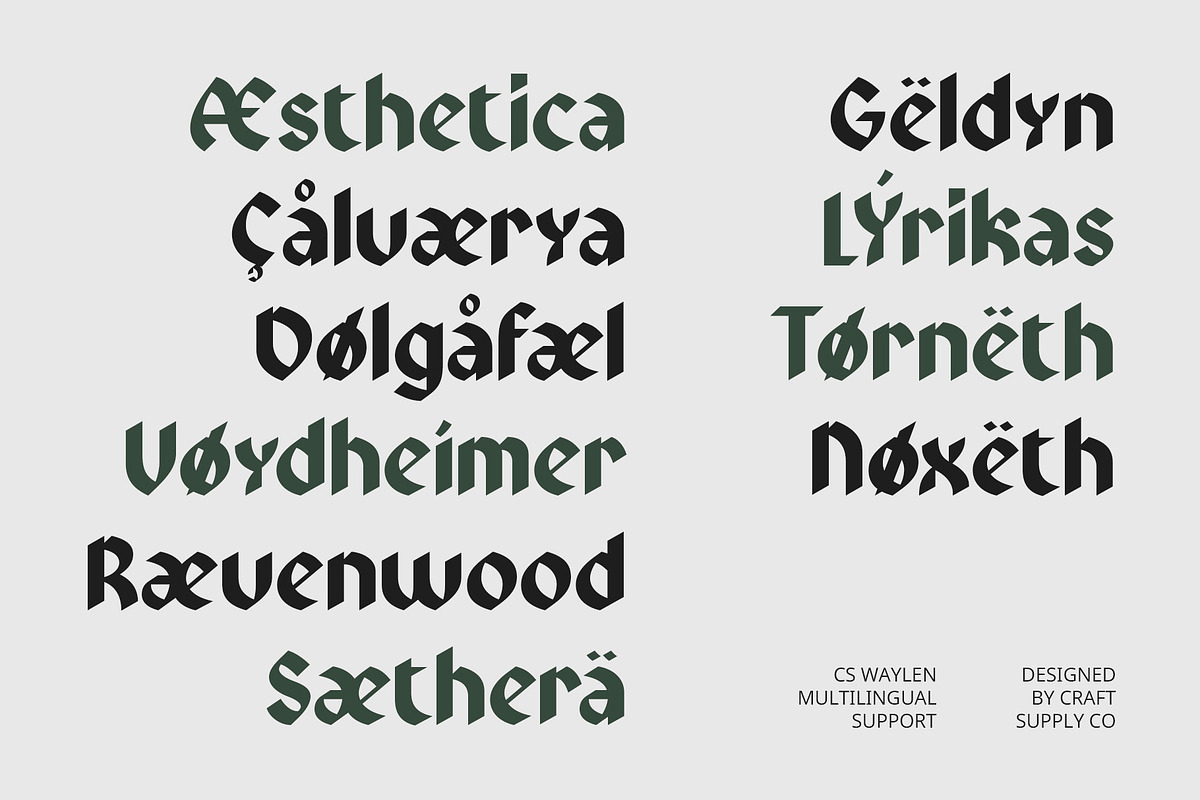 CS Waylen – Blackletter Font, a Blackletter Font by Craft Supply Co. (Photo 4 of 8)